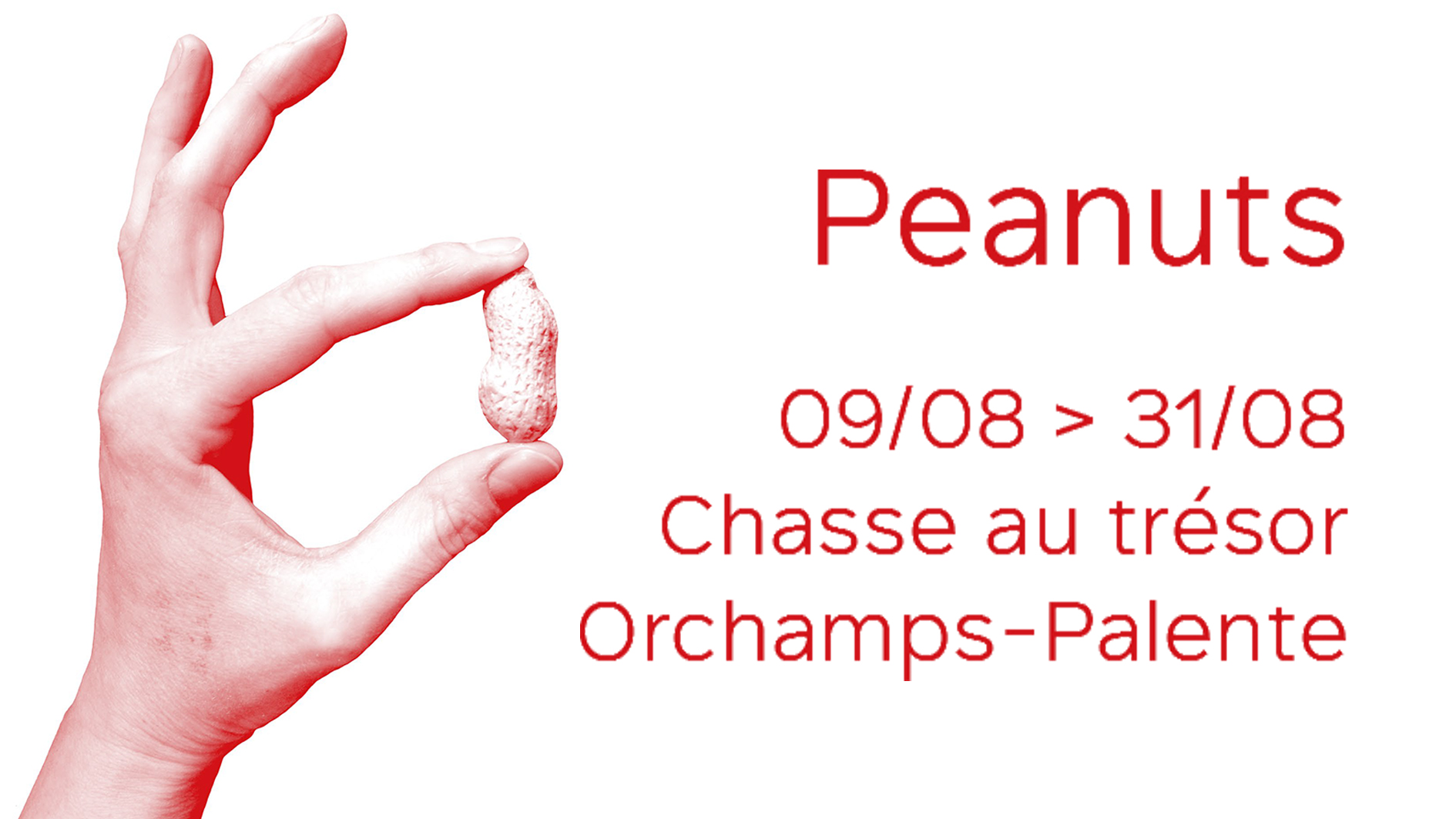 Du 9 au 31/08 – « Peanuts », une chasse au trésor dans le quartier Palente-Les Orchamps