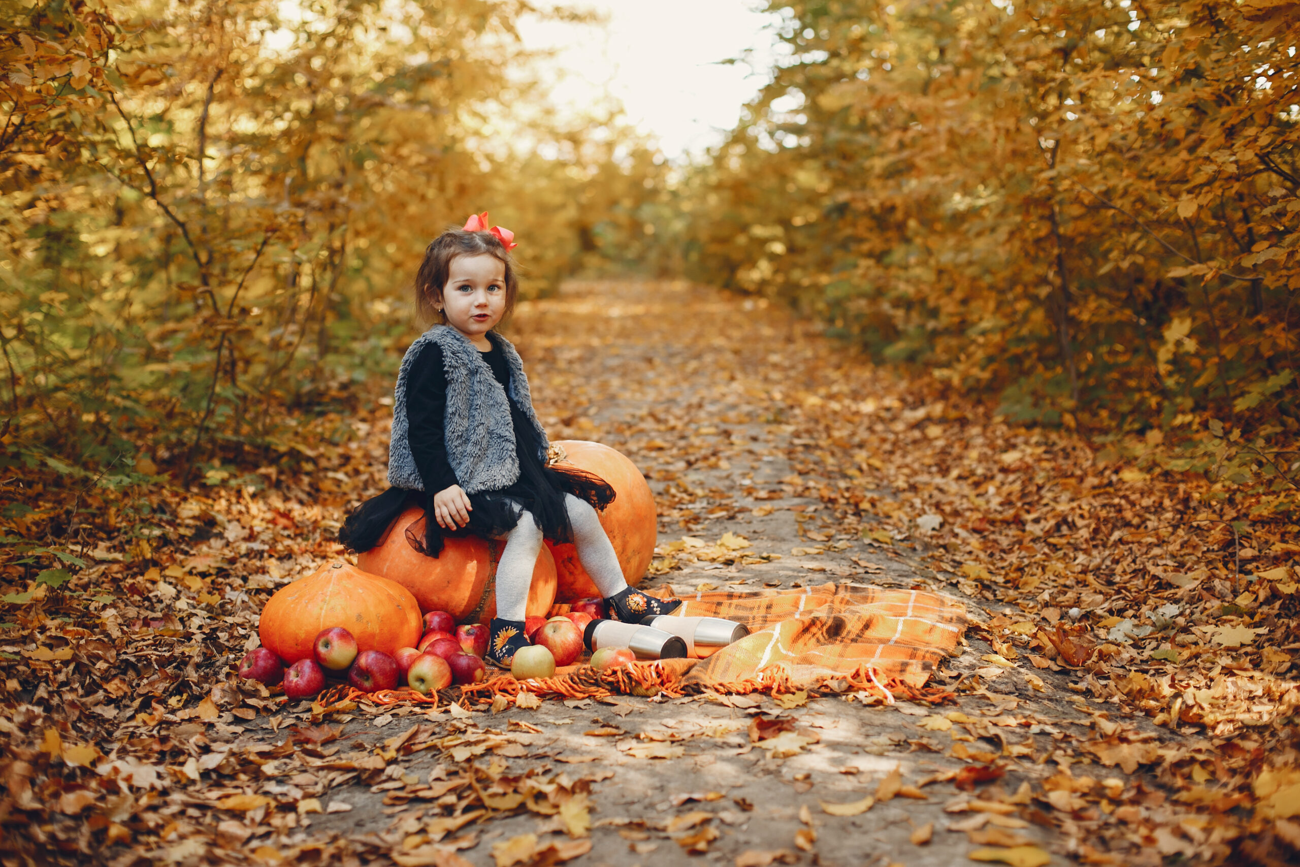 Au fil de l’automne